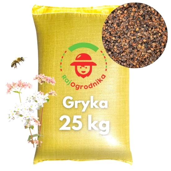 Jak uprawiać grykę? Siew, pielęgnacja i zbiór krok po kroku