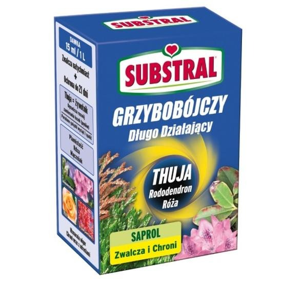 Jaki oprysk wybrać na tuje? Skuteczna ochrona przed chorobami i szkodnikami