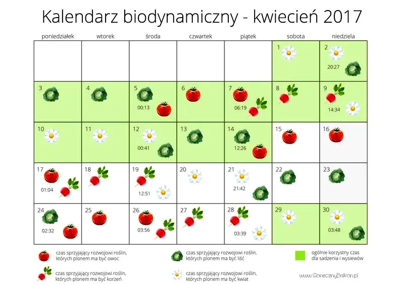 Kiedy siać warzywa: kalendarz siewu na cały rok i porady Neli