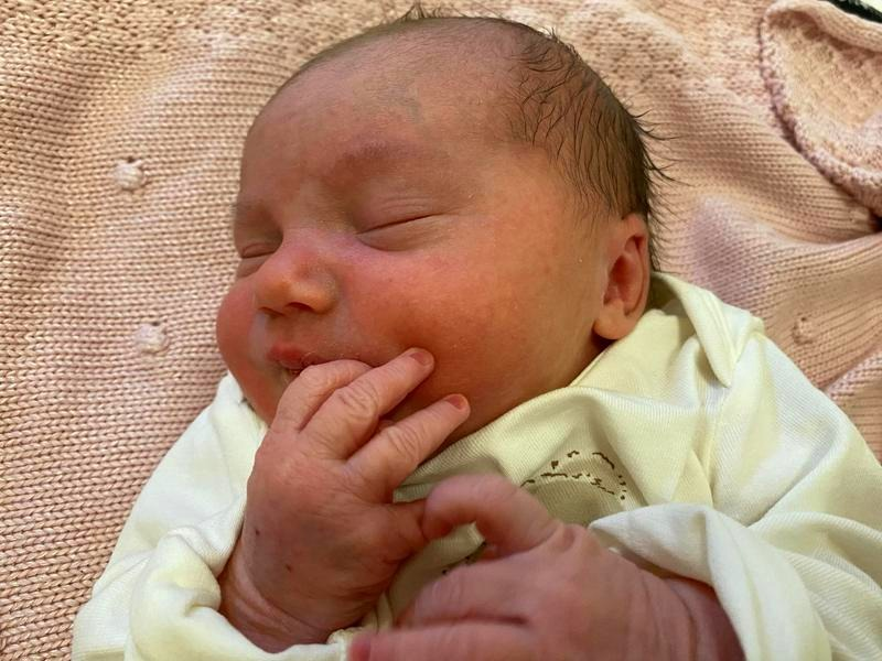 Sadzenie świerka — wiosną czy jesienią? Poradnik Neli Szymczak